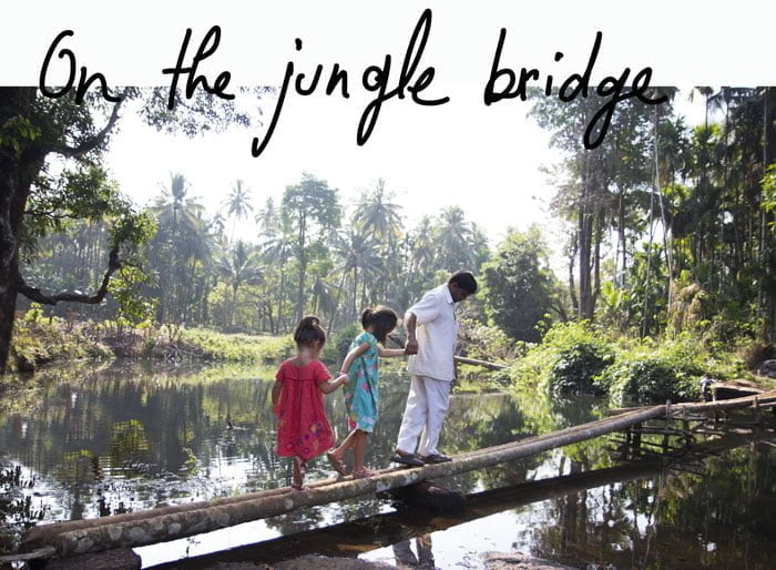 JungleBridge+txt
