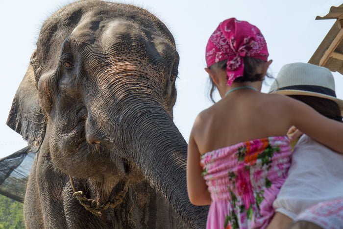 voyage-Asie-illustratrice-carnet-Thaïlande