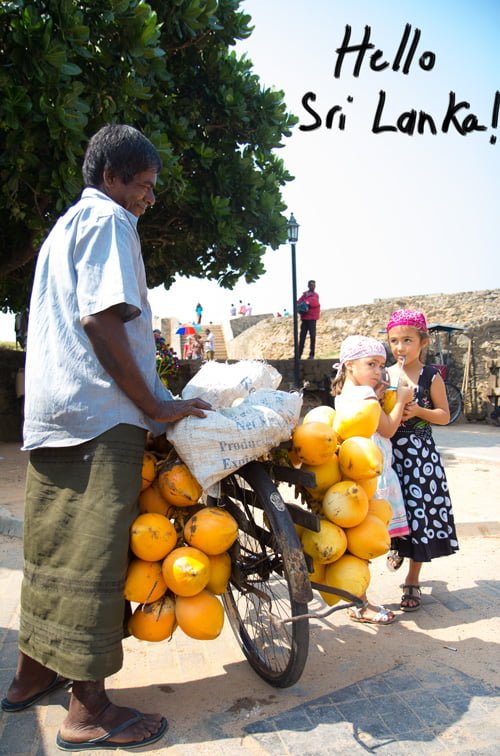 illustratrice-voyage-Asie-Sri-Lanka