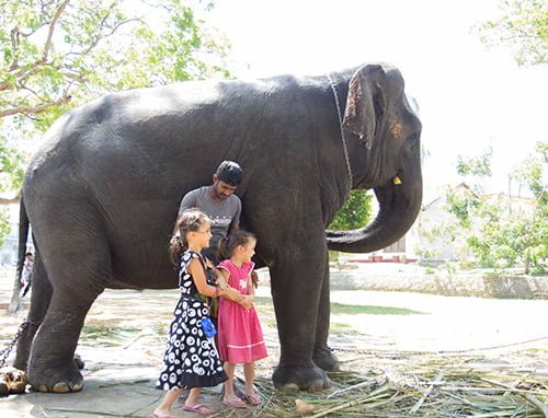 illustratrice-voyage-Asie-famille