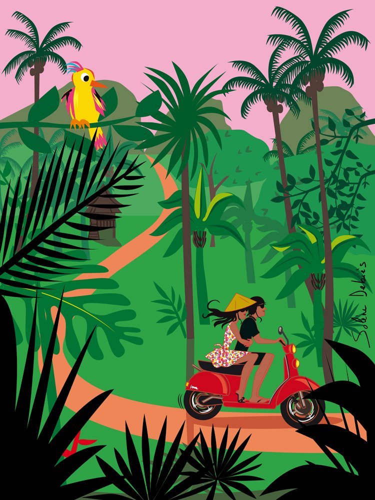travel illustration jungle