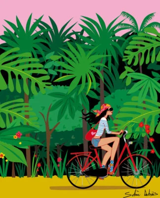 A vélo dans la jungle